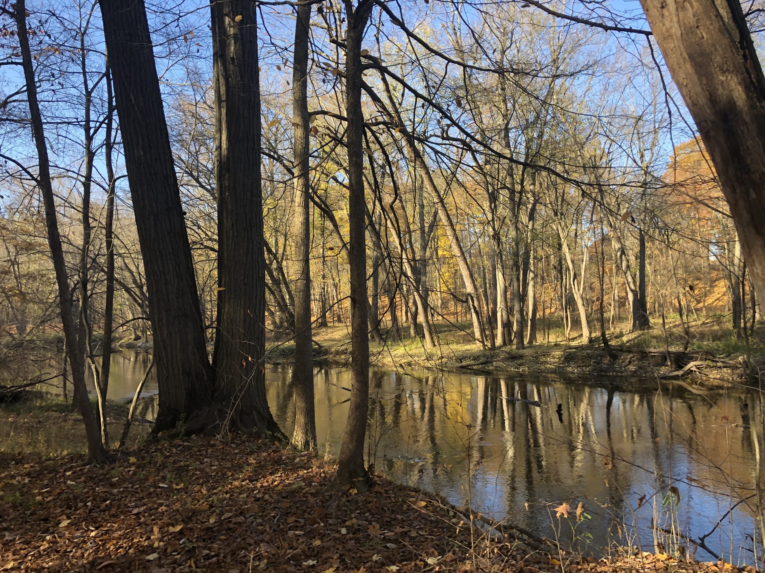 Red Cedar River in Okemos